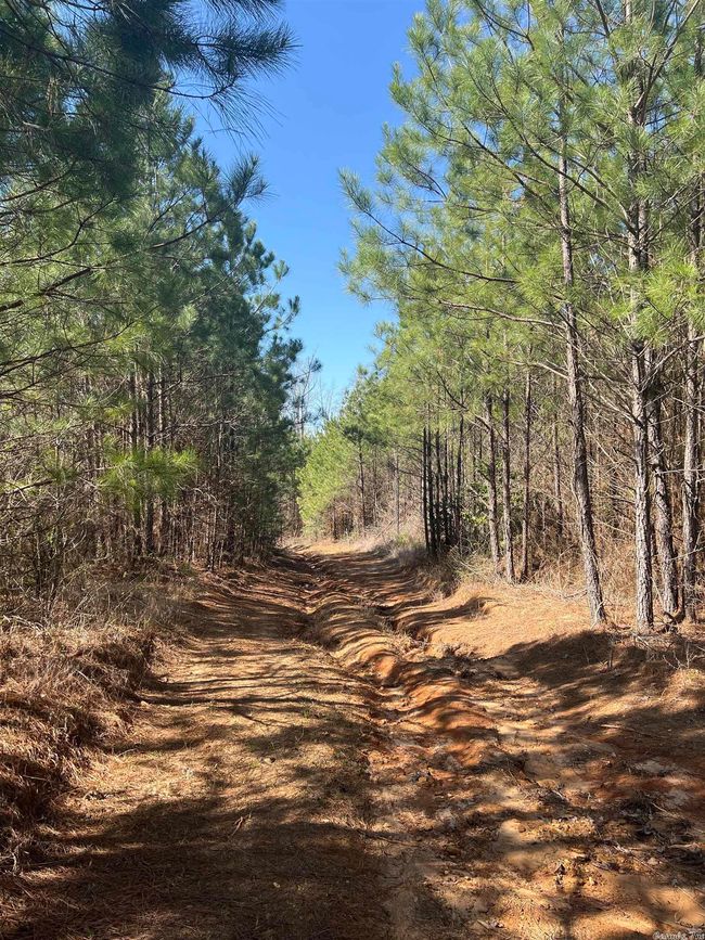 00 Nevada County 175 Road, Home with 0 bedrooms, 0 bathrooms and null parking in Rosston AR | Image 5