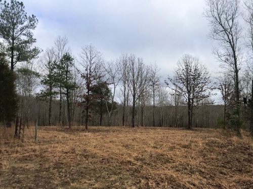 0 Nine Mile Ridge Rd, Duck River, TN, 38454 | Card Image