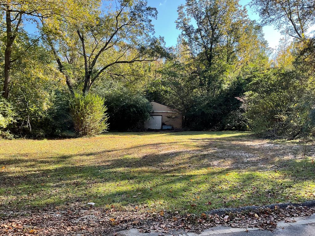 Pope Rd, Midland, GA 31820