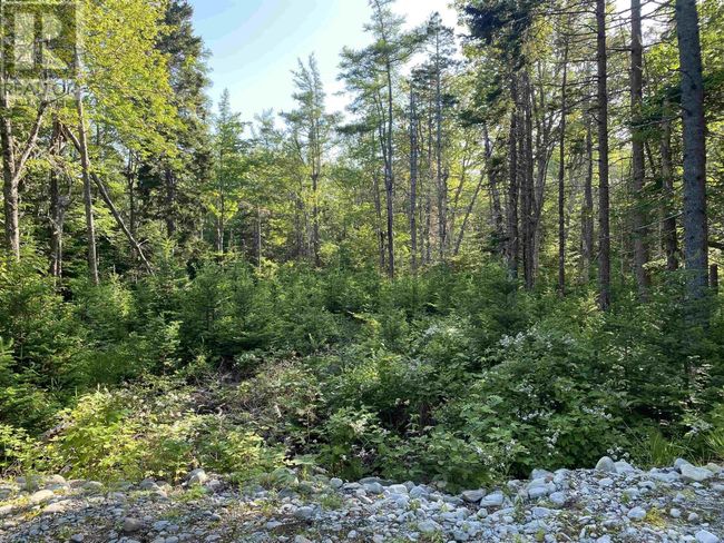 78 White Point 1 Rd, Home with 0 bedrooms, 0 bathrooms and null parking in Hunts Point NS | Image 9