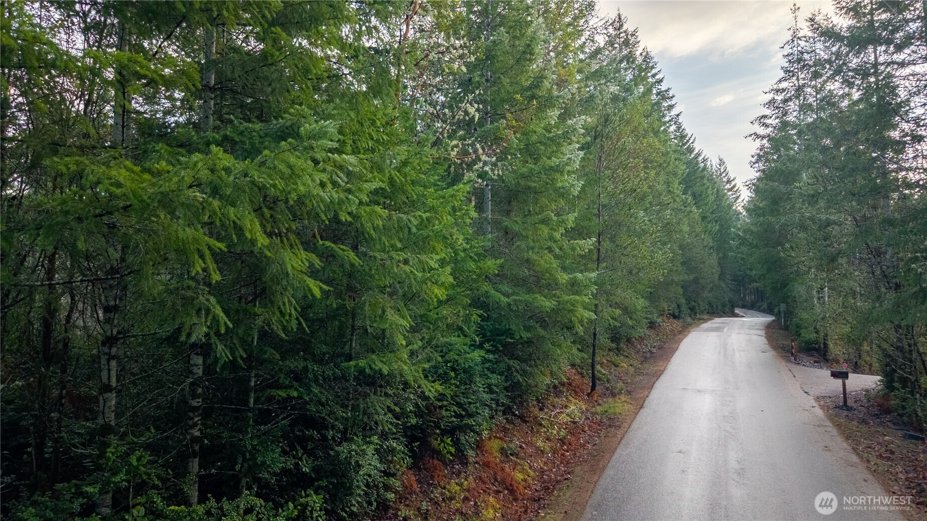 Land in Gig Harbor 3