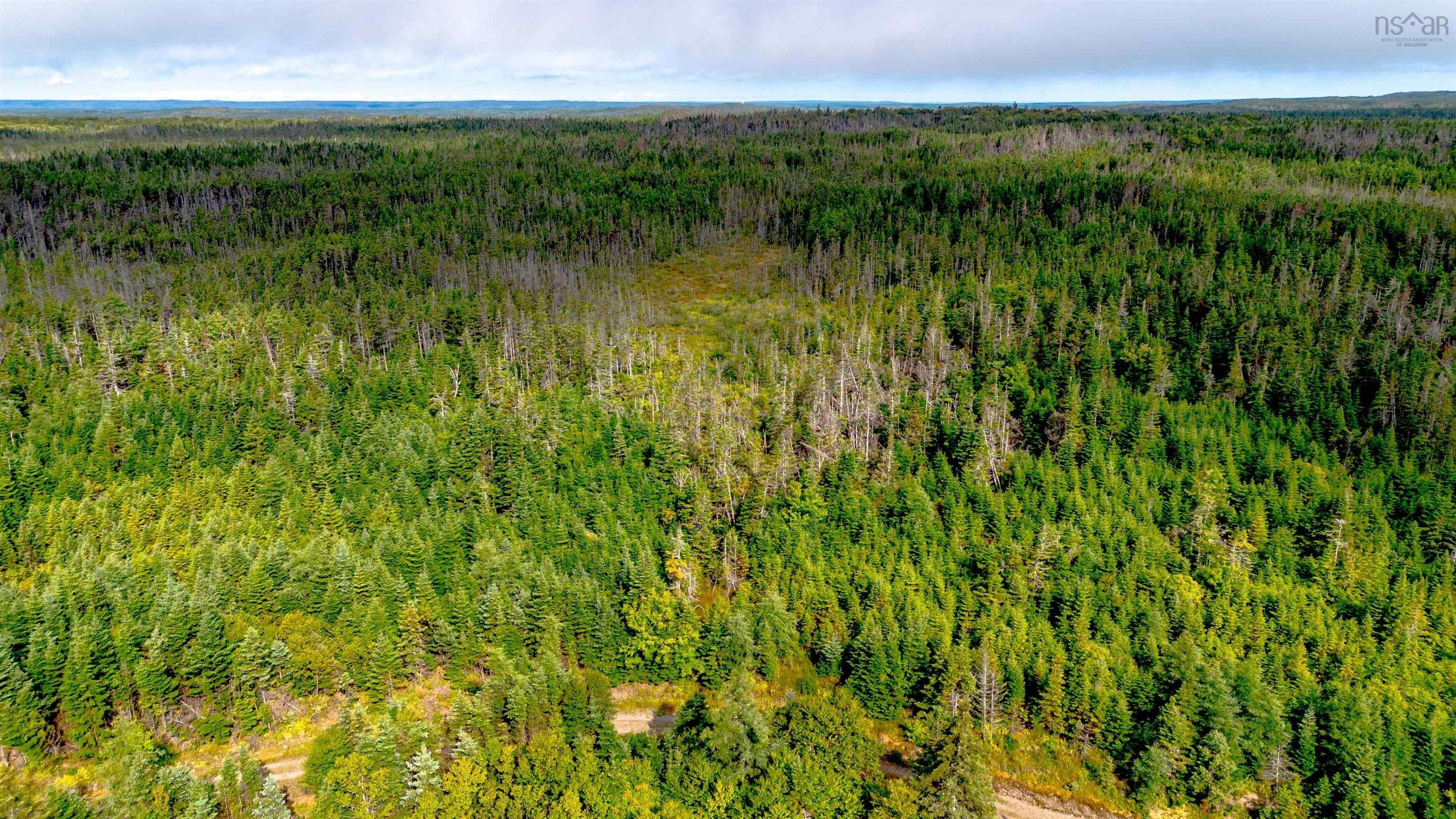 Land in French Road 5