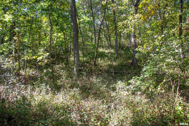 27232 215 Th St, Home with 5 bedrooms, 4 bathrooms and null parking in Canton MO | Image 24
