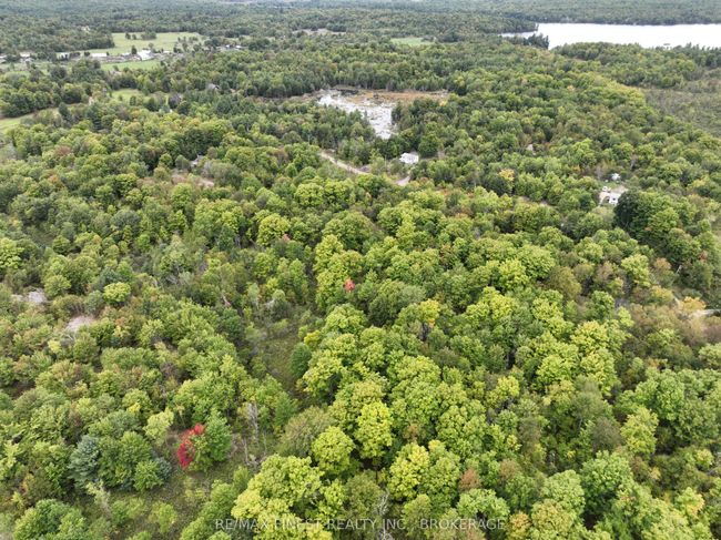 1147 Cronk Rd, Home with 0 bedrooms, 0 bathrooms and 4 parking in Parham ON | Image 8