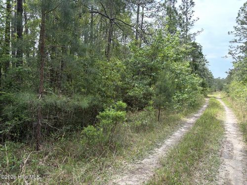 L 113 Chimney Swift Ln, Southport, NC, 28461 | Card Image