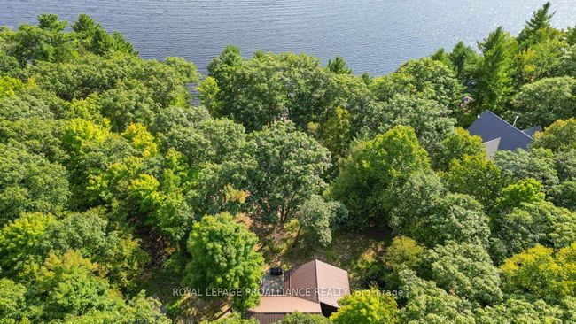 1091 Lindey Lane, House other with 3 bedrooms, 1 bathrooms and 8 parking in North Frontenac ON | Image 42
