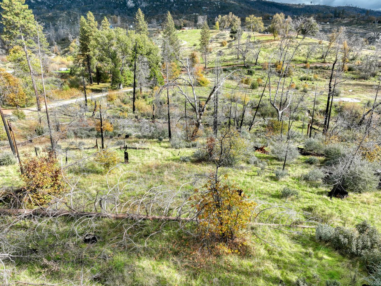 Land in Auberry 5