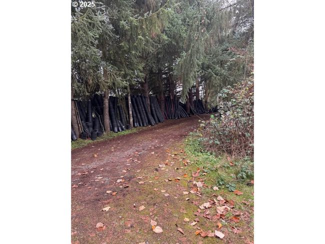 12192 S Mulino Rd, House other with 3 bedrooms, 1 bathrooms and null parking in Canby OR | Image 17