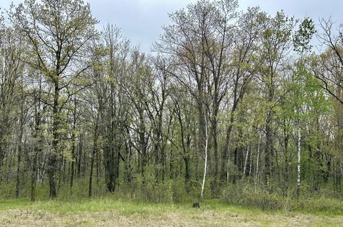 TBD Jewel Rd, Little Falls, MN, 56345 | Card Image