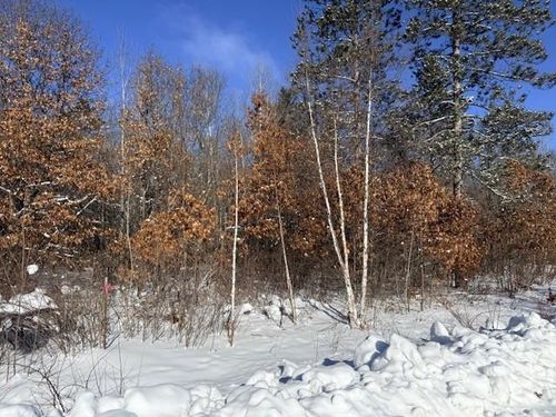 1608 Pineview Lane, Tomahawk, WI, 54487 | Card Image