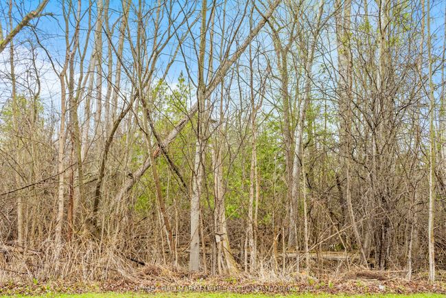 150 Thicket Cres, House other with 5 bedrooms, 4 bathrooms and 2 parking in Pickering ON | Image 50