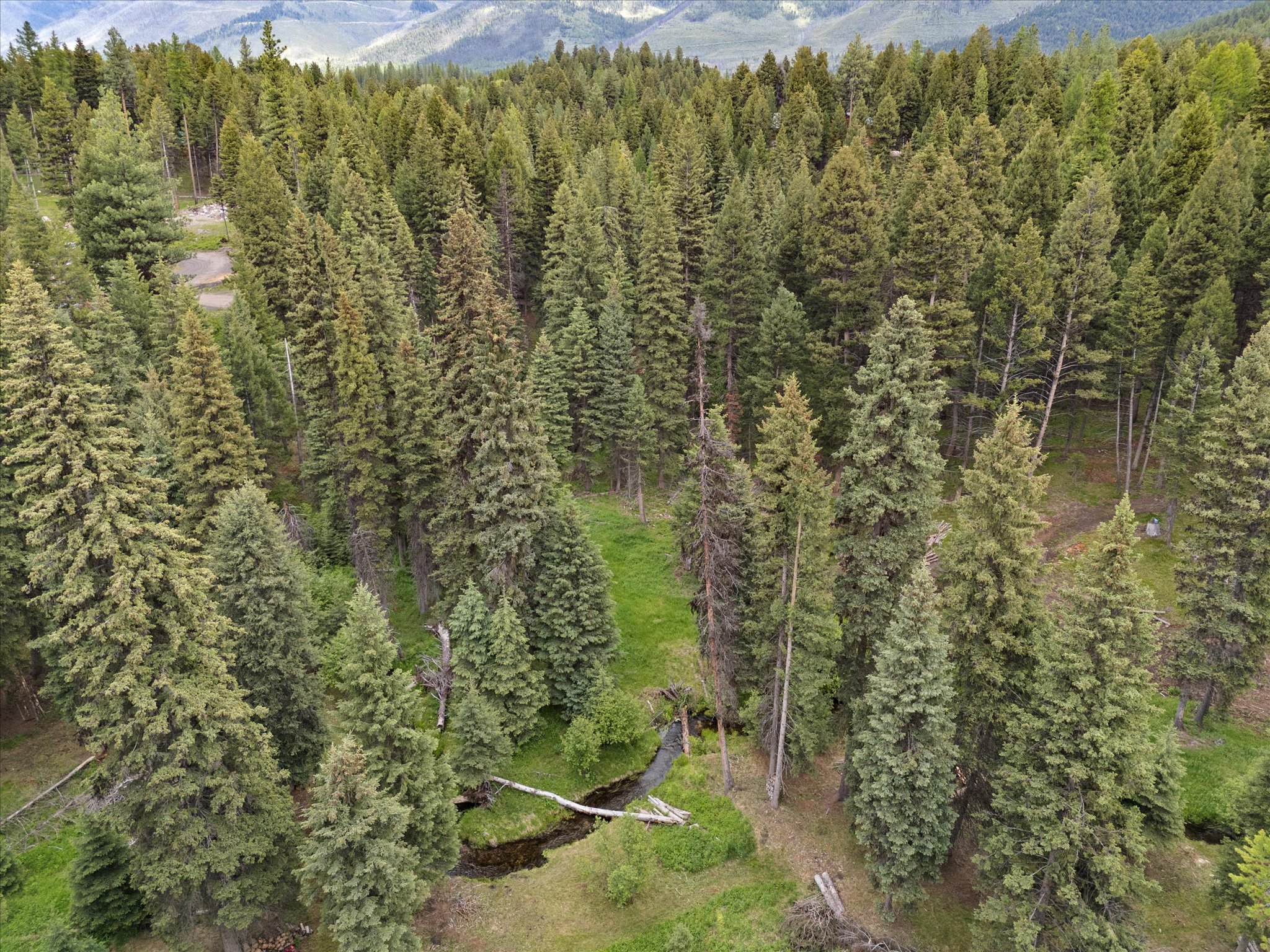 Land in Seeley Lake 3