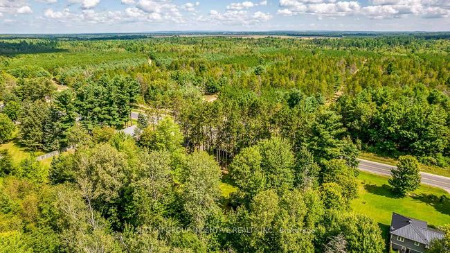 7216 County Rd 13, House other with 2 bedrooms, 1 bathrooms and 15 parking in Lisle ON | Image 39