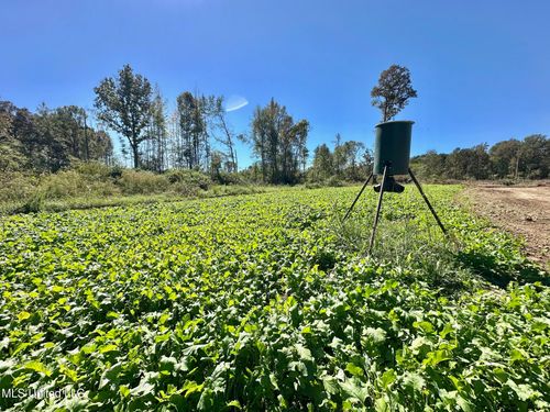 1008 Pleasant Ln, Wesson, MS, 39191-7314 | Card Image