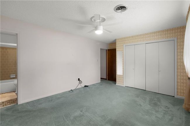 Primary | Image 11