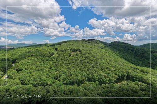 4 New Settlers Way, Glenville, NC, 28736-0390 | Card Image
