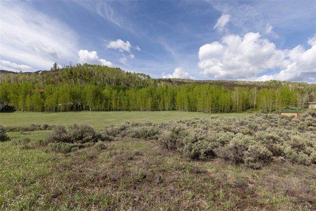29875 Rock Point Trl, Home with 0 bedrooms, 0 bathrooms and null parking in Oak Creek CO | Image 6