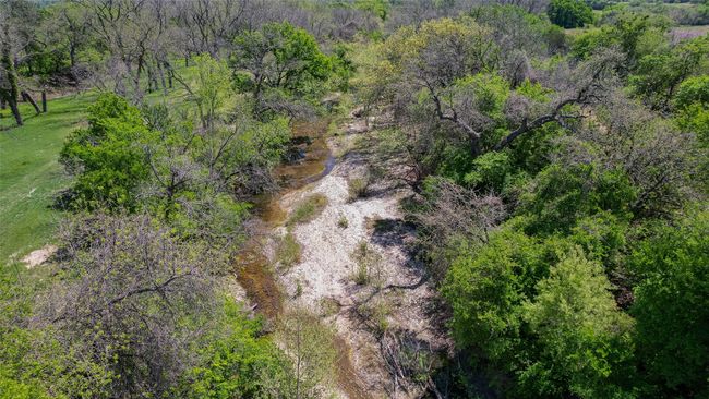 Creek | Image 19