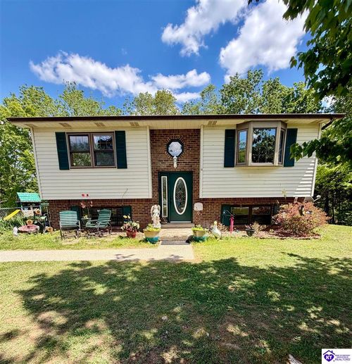 126 Creekview Ln, Rineyville, KY, 40162-9513 | Card Image