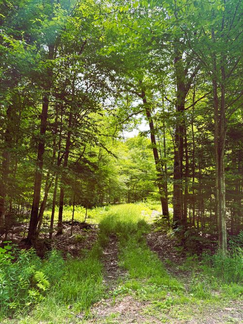 0 Peplinskie Rd, Combermere, ON, K0J1L0 | Card Image