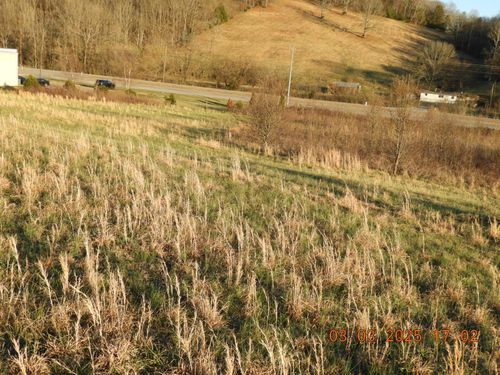 0 Highway 64, Frankewing, TN, 38459 | Card Image