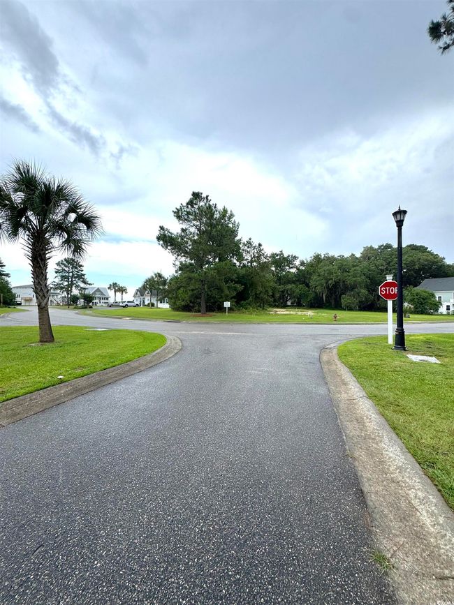 View of asphalt road featuring traffic signs and street lighting | Image 5