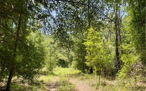 10AC 198th Ter, O Brien, FL, 32071 | Card Image
