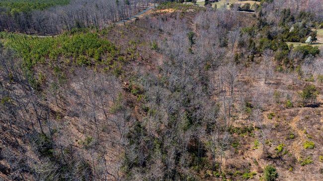0 Norwood Rd, Home with 0 bedrooms, 0 bathrooms and null parking in GLADSTONE VA | Image 15