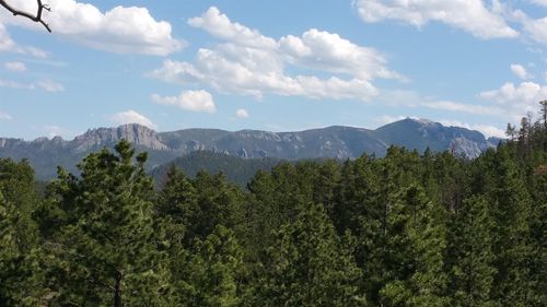 12491 Tall Pine Rd, HILL CITY, SD, 57745-6557 | Card Image