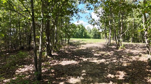 113 Chestnut Dr, Linden, TN, 37096-2222 | Card Image