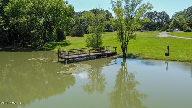 Pond | Image 59