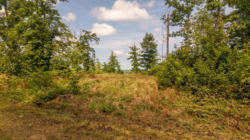 0 Bobcat Ln, Mammoth Spring, AR, 72554 | Card Image