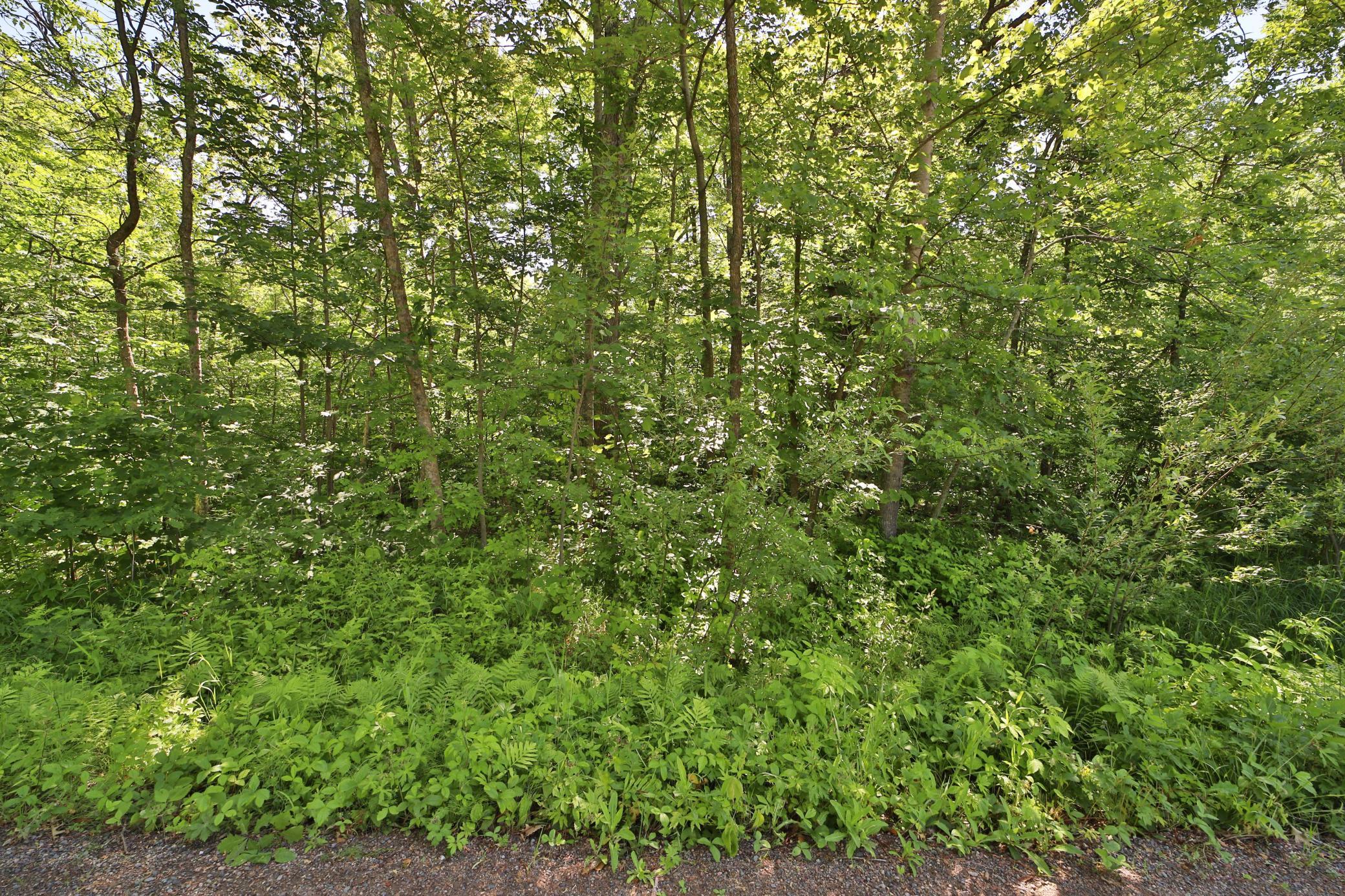 Land in Garrison 2