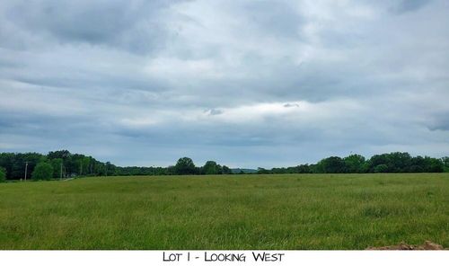 Lot 1 Prairie View Rd, Brighton, MO, 65617 | Card Image