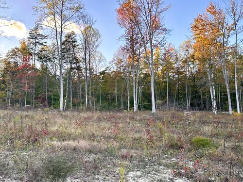 1105 Pendleton Branch Rd, Salt Lick, KY, 40371 | Card Image