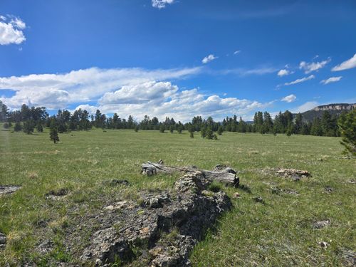 TBD Yarrow Road, Buffalo, WY, 82834 | Card Image