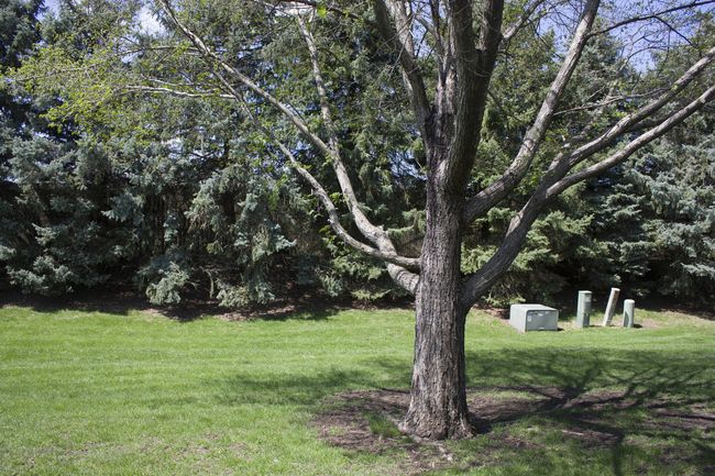 Private Back Yard | Image 31