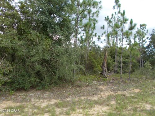 Lot 6 Newmoon Drive, Chipley, FL, 32428 | Card Image