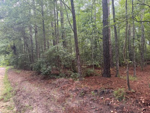 00 Charles St, Varnville, SC, 29944 | Card Image