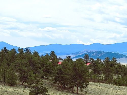 59 Zion Ct, HARTSEL, CO, 80449 | Card Image