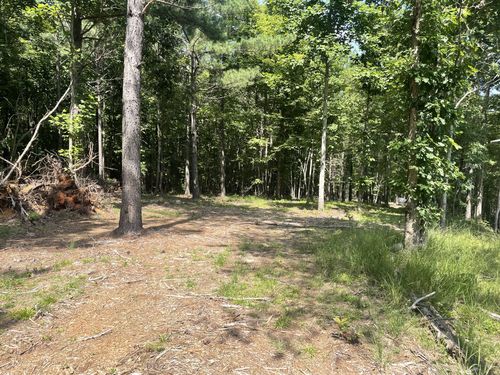 0 Tallwoods Ln, Spencer, TN, 38585 | Card Image