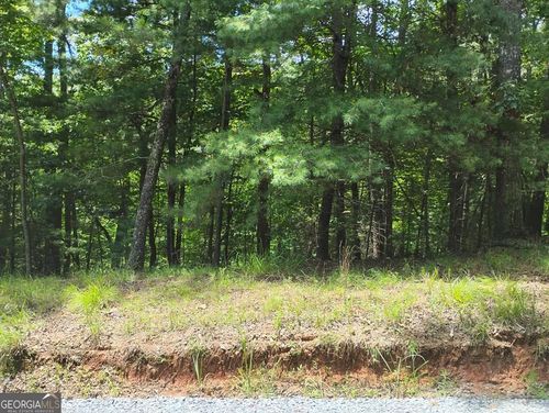 3284-0 Crystal Lane, Ellijay, GA, 30540 | Card Image