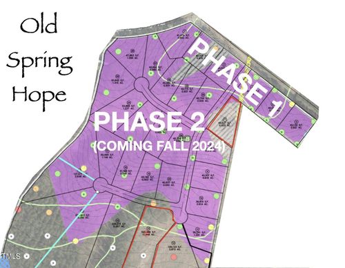 3 Green Rd, Spring Hope, NC, 27882 | Card Image