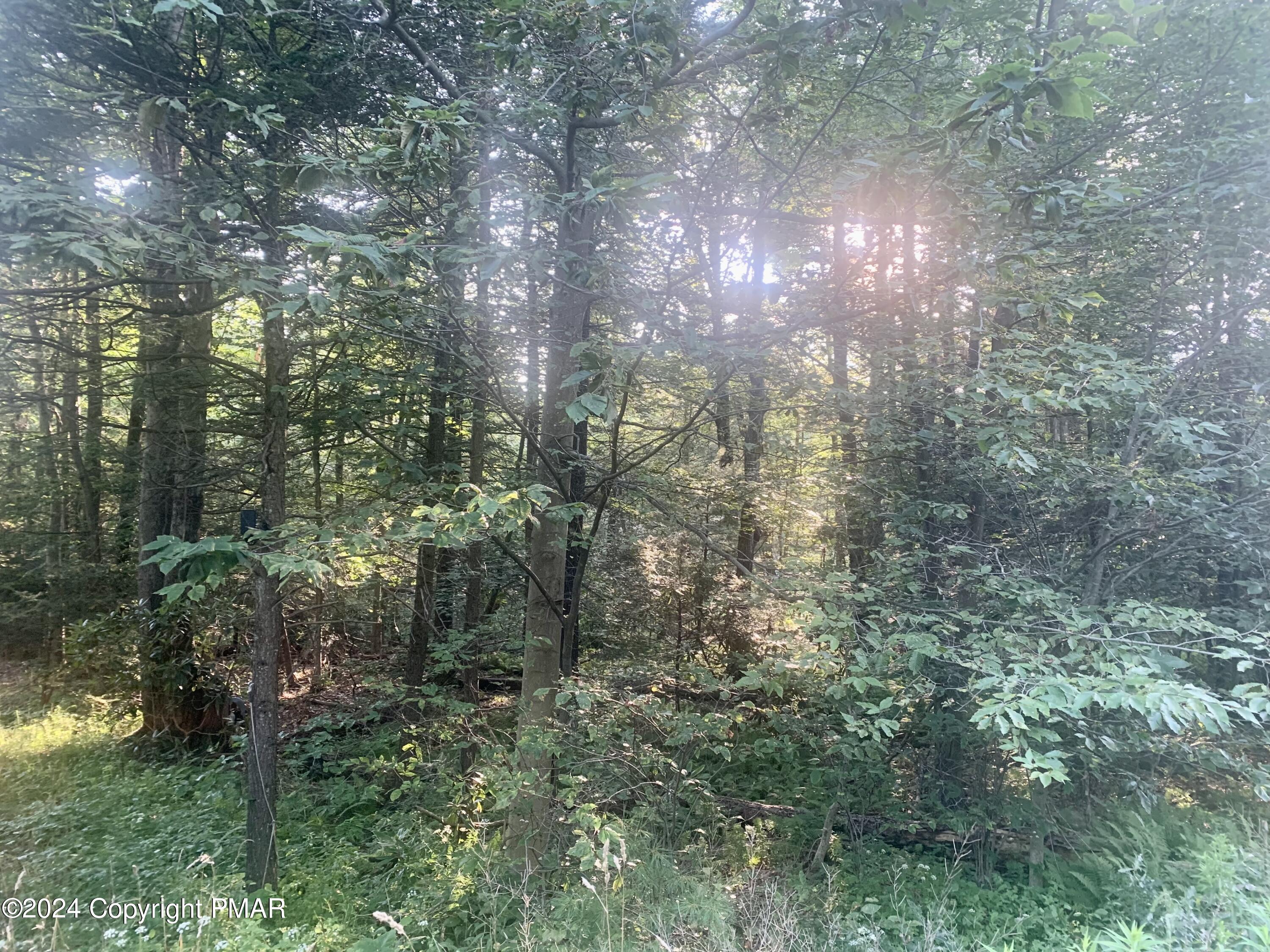 Route 115 , Blakeslee, PA 18610