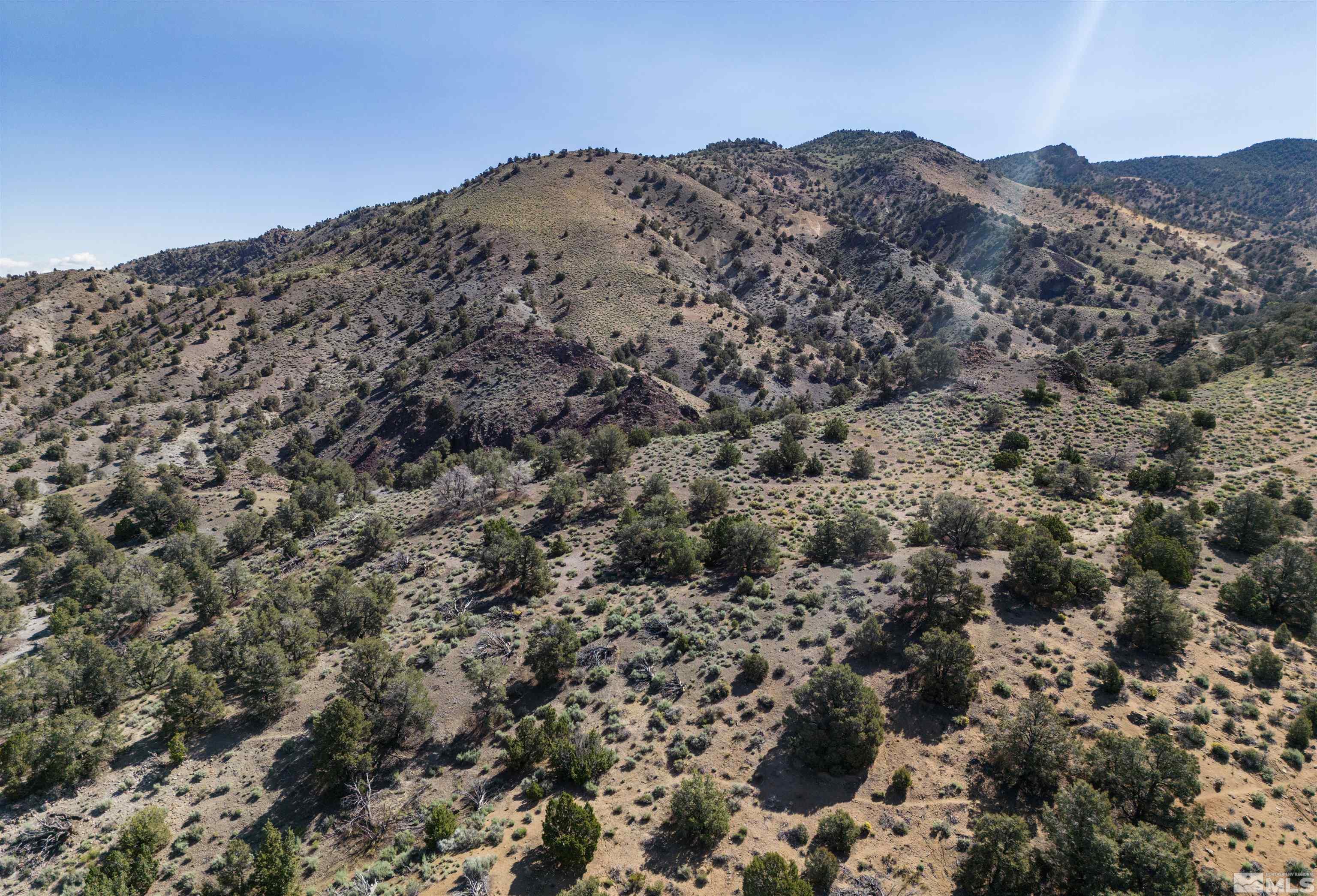 Land in Reno 2