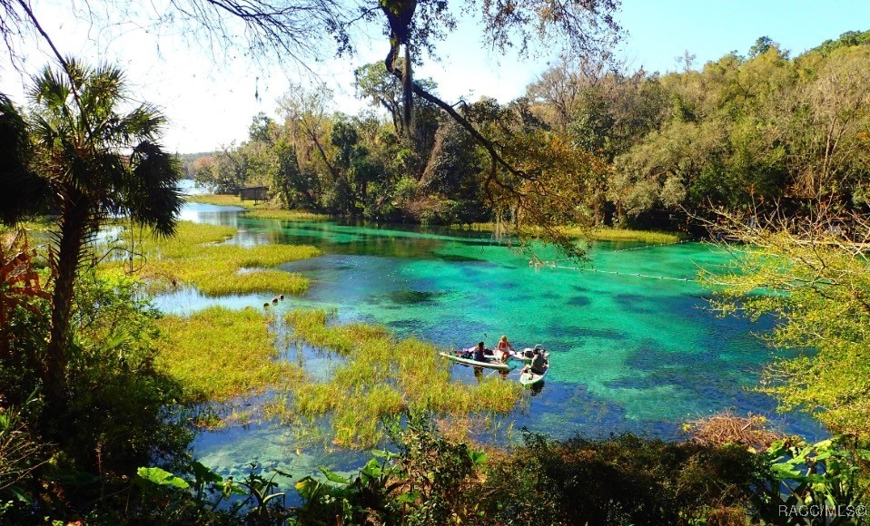 Land in Ocala 3