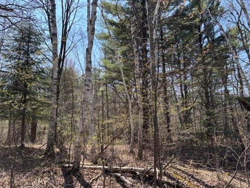 40 acre Cottrell Ave, Irma, WI, 54442 | Card Image