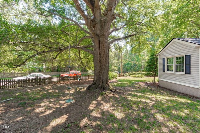 Fenced Yard | Image 31