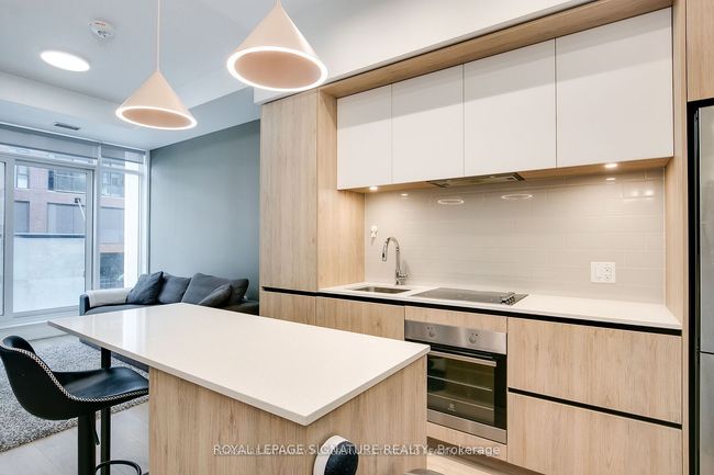 203 - 34 Tubman Ave, Condo with 1 bedrooms, 1 bathrooms and null parking in Toronto ON | Image 10