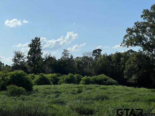 589 Us Highway 84 E, Tenaha, TX, 75974 | Card Image